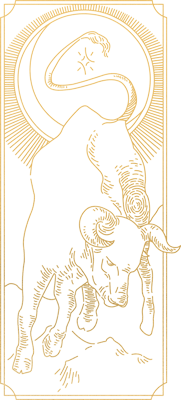 Horoskop 2023 Stier